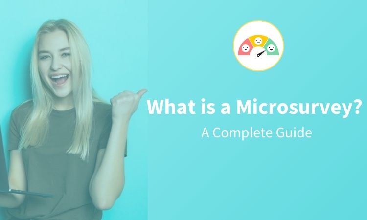 What is a Microsurvey? A Complete Guide